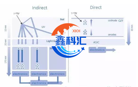 鑫科汇